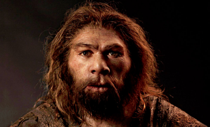 15 Difference Between Homosapien And Neanderthal With Pictures Viva