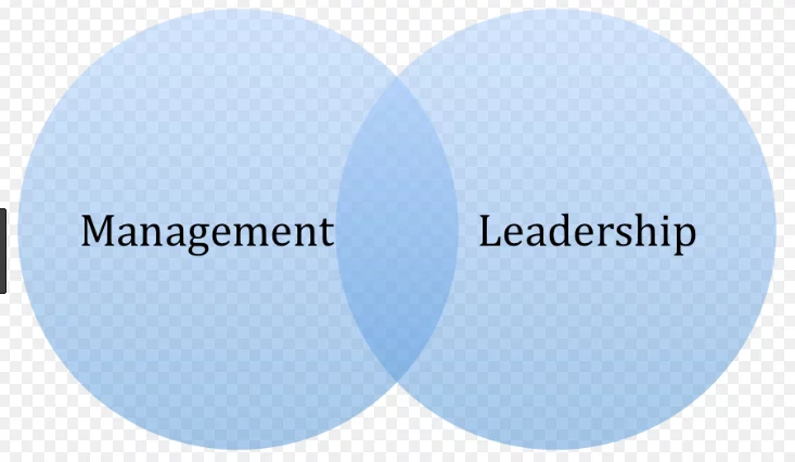 leadership vs management