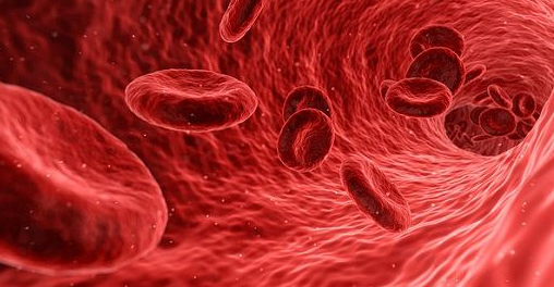 Hemoglobin vs myoglobin