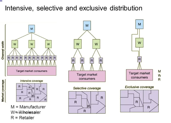 Selective Vs Intensive vs Exclusive