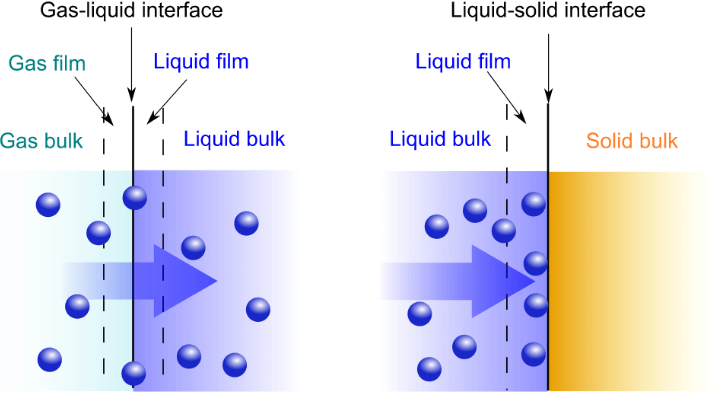 10-difference-between-absorption-and-adsorption-with-examples-viva