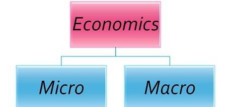 distinguish between microeconomics and macroeconomics