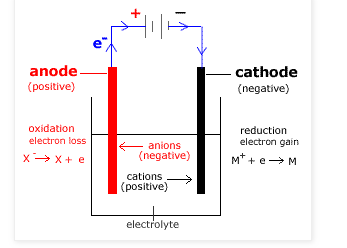 electroplating cell