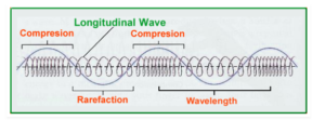 10 Differences Between Longitudinal And Transverse Waves (With Examples ...