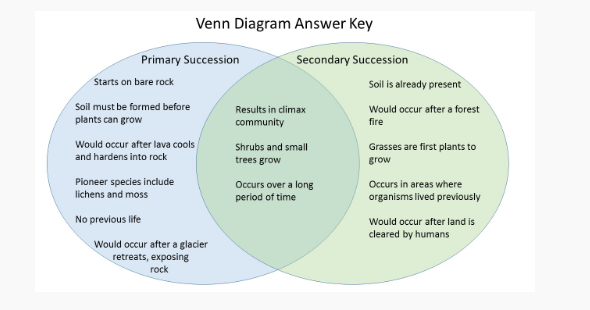 primary-succession-and-ecological-growth-process-stages-outline-diagram