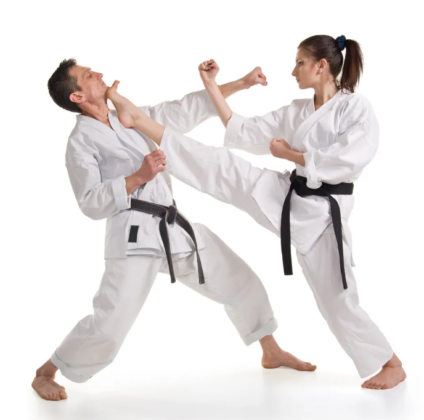 Difference Between Taekwondo And Karate - VIVA DIFFERENCES