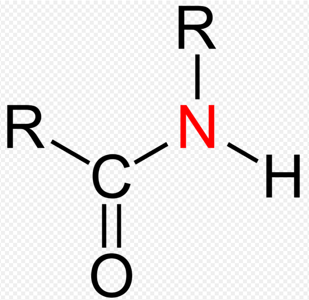 10 Difference Between Amine And Amide With Structure Viva Differences