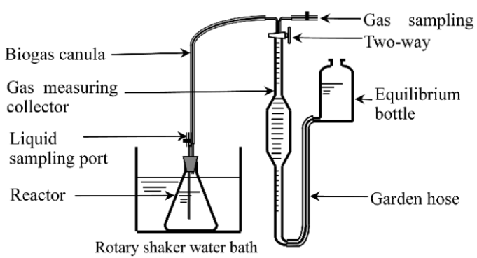 15 Difference Batch Fermentation And Continuous Fermentation - VIVA ...