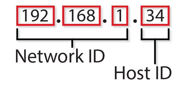 12-difference-between-mac-address-and-ip-address-viva-differences