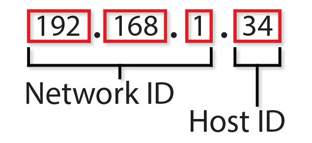12 Difference Between MAC Address And IP Address VIVA DIFFERENCES