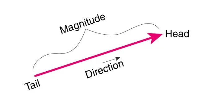 Magnitude-And-Direction