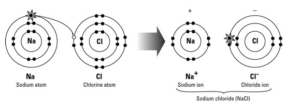 Major Difference Between Covalent And Ionic Bonds (With Similarities ...