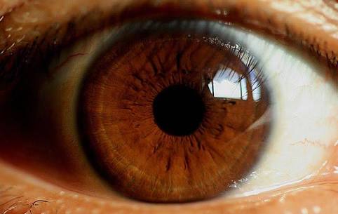 5 Difference Between Hazel And Brown Eyes Viva Differences