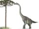 difference between brontosaurus and brachiosaurus