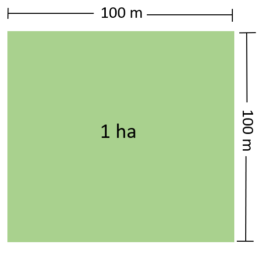 how-to-convert-meter-to-hectare-meter-to-hectare-conversion-formula