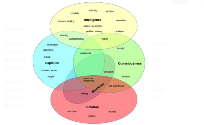 Difference Between Sapience And Sentience - VIVA DIFFERENCES