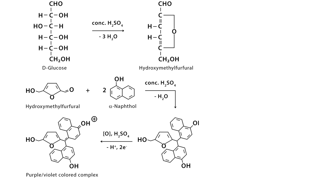 Molisch’s Test: Principle, Reagents and Results Interpretation - VIVA ...