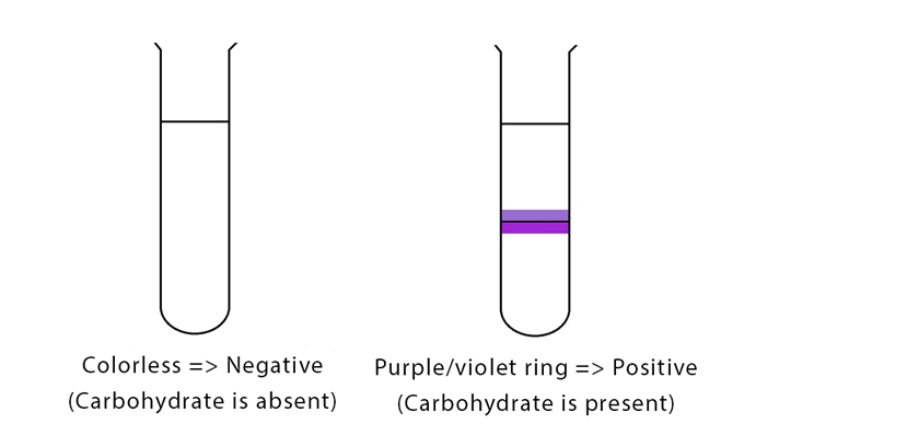 Molisch’s Test: Principle, Reagents and Results Interpretation - VIVA ...