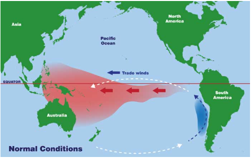 Difference between la nina and el nino weather - VIVA DIFFERENCES