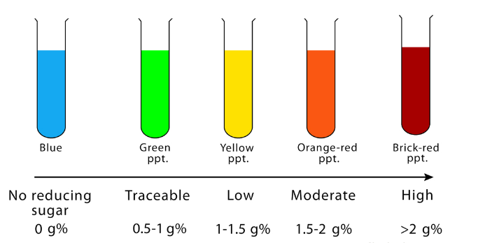 Benedict’s Test: Principle, Reagent, Preparation & Result ...